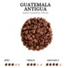 Quality Guatemala Antigua coffee