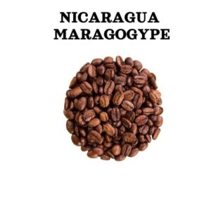 Nicaragua Maragogype quality coffee