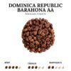 Dominica republic quality alcohol