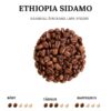 Ethiopia Sidamo quality coffee