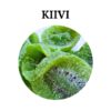 dried kiwi coffeestar